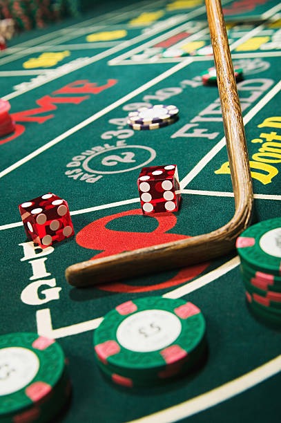 sifu account dashboard showing Togel 2D draw schedule